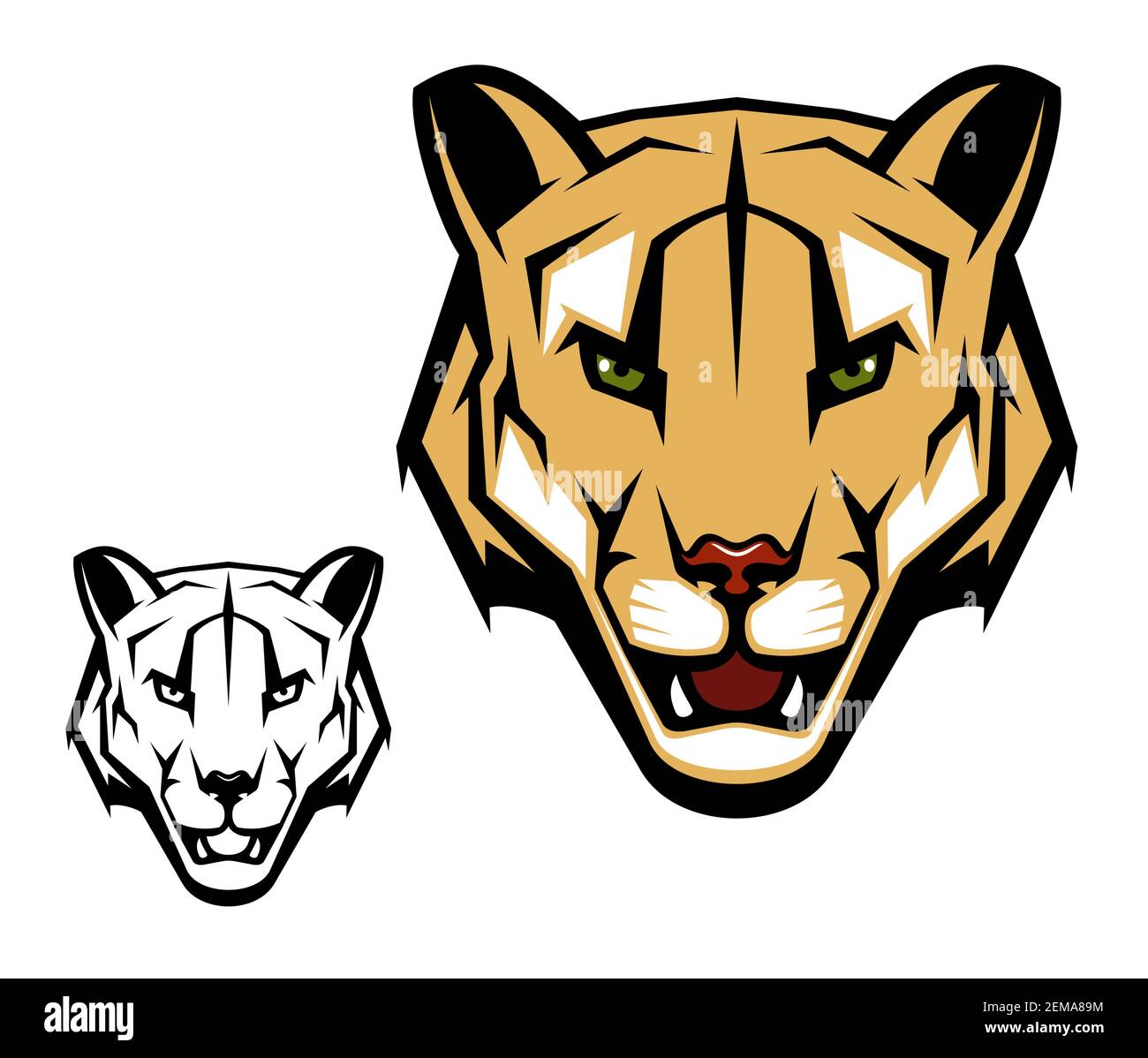 Cougar puma mascota vector con cabeza de león de montaña. Gato salvaje con  boca abierta, dientes peligrosos y ojos enojados símbolo aislado de safari  africano Imagen Vector de stock - Alamy