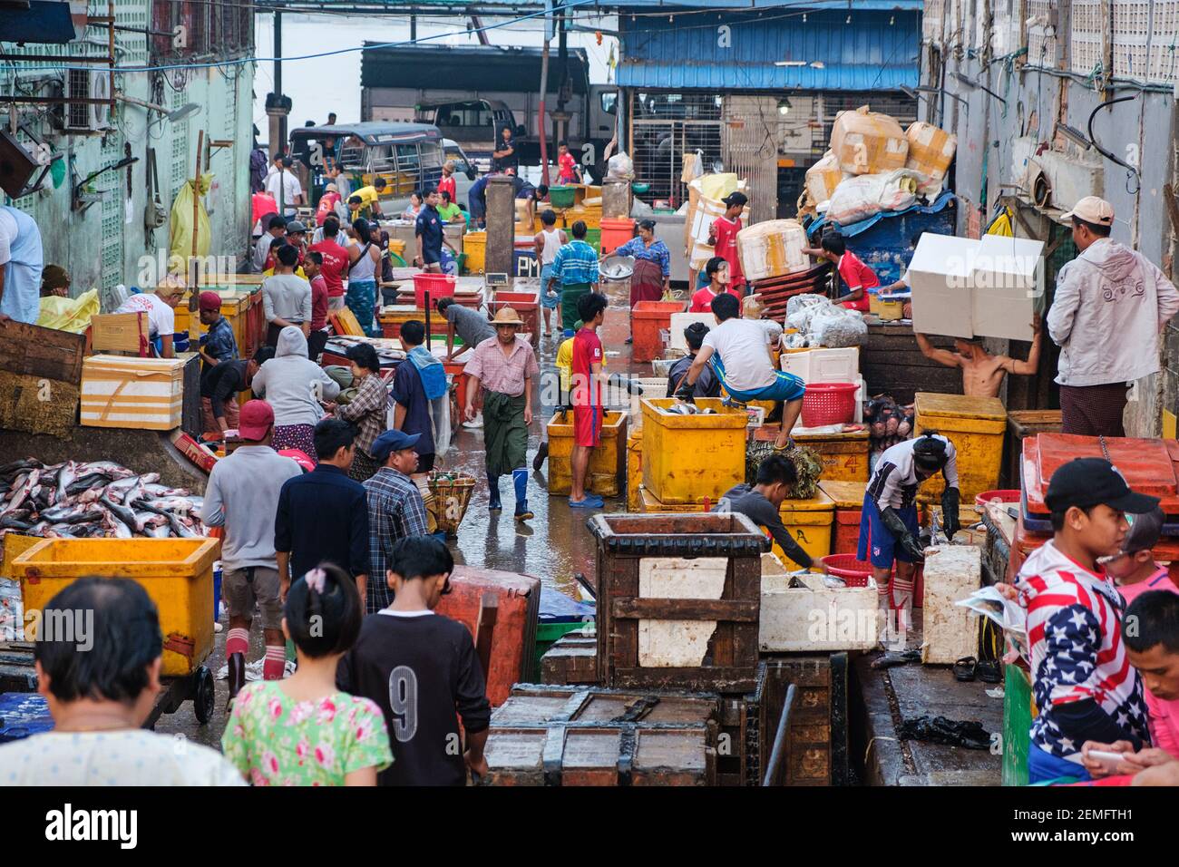 Una vista por la mañana de una parte ocupada del mercado de pescado de San Pya en Yangon, Myanmar (Birmania) Foto de stock