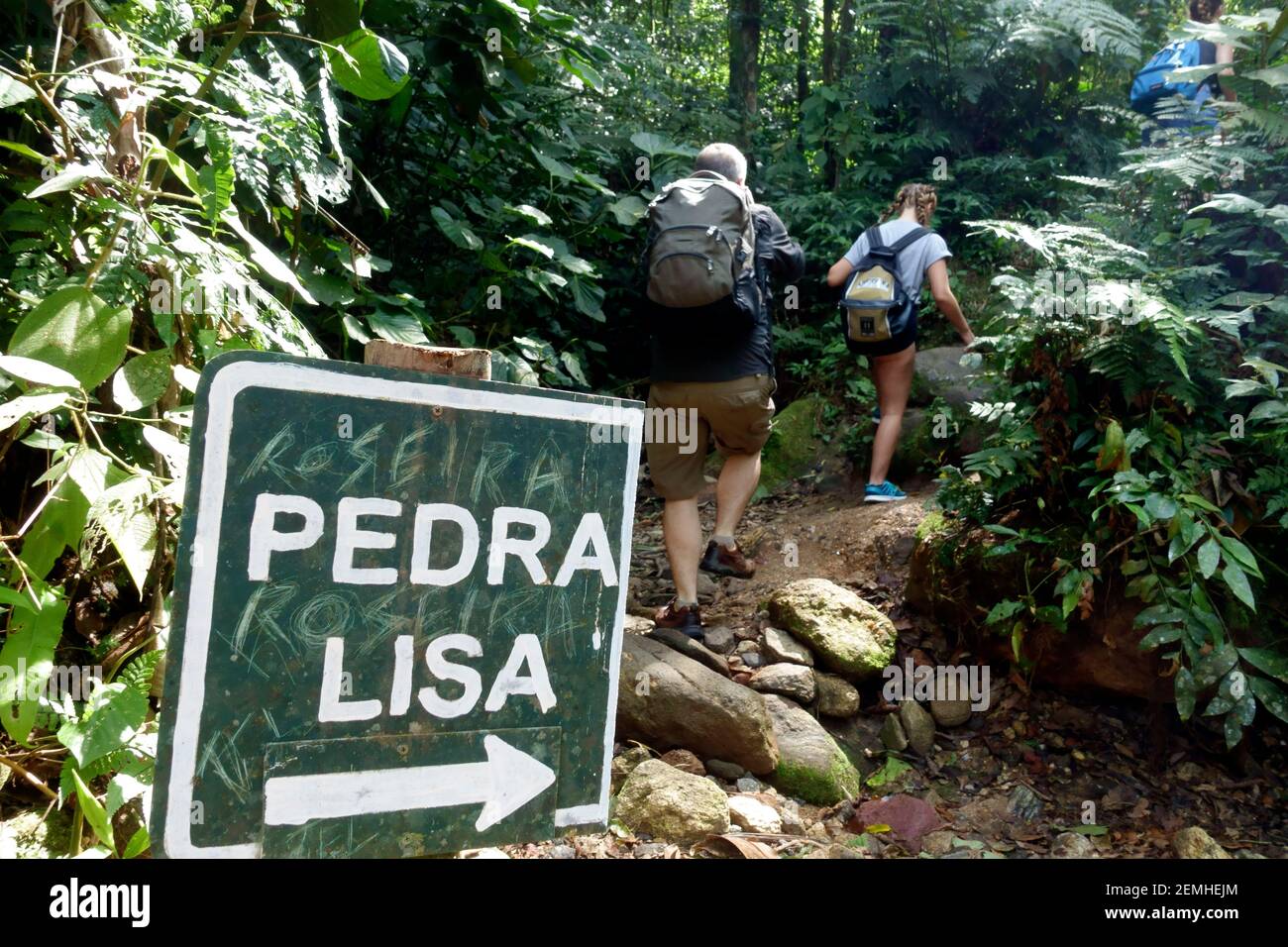 Gente que comienza la caminata por Pedra Lisa, selva tropical, en Maresias, Brasil Foto de stock
