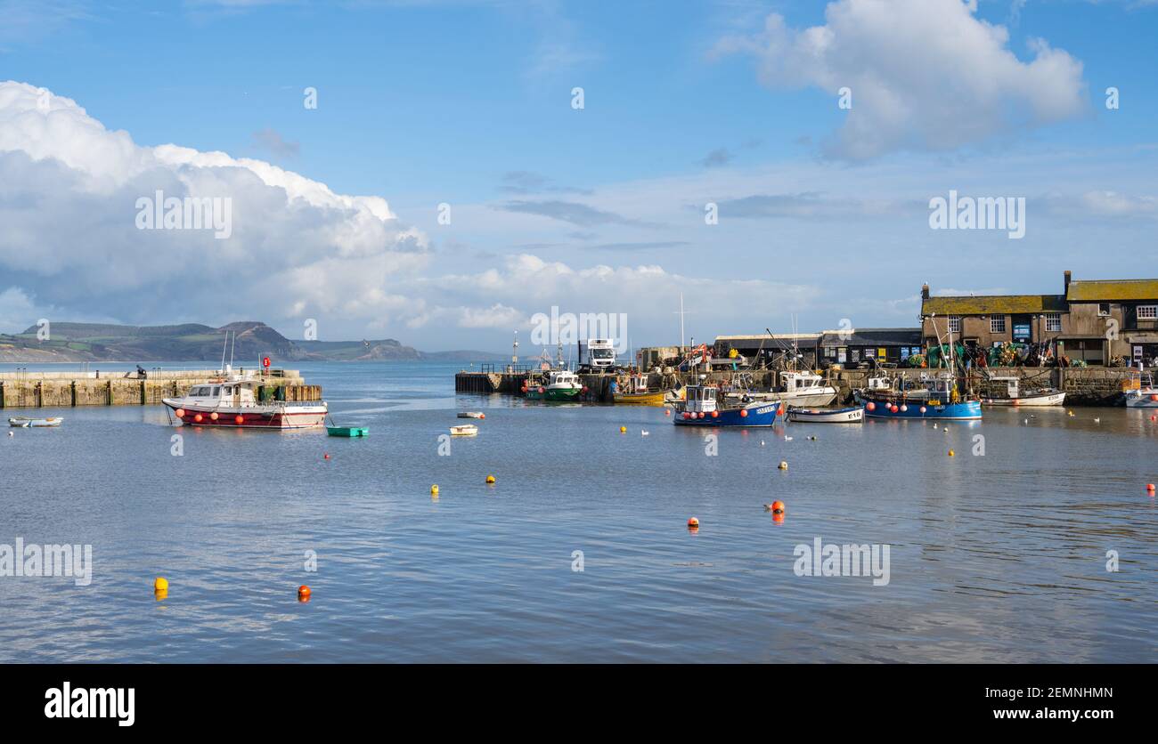 Lyme Regis, Dorset, Reino Unido. 25 de febrero de 2021. Reino Unido Clima: El puerto Cobb en Lyme Regis en una tarde de cielos azules claros y sol brillante. Crédito: Celia McMahon/Alamy Live News Foto de stock