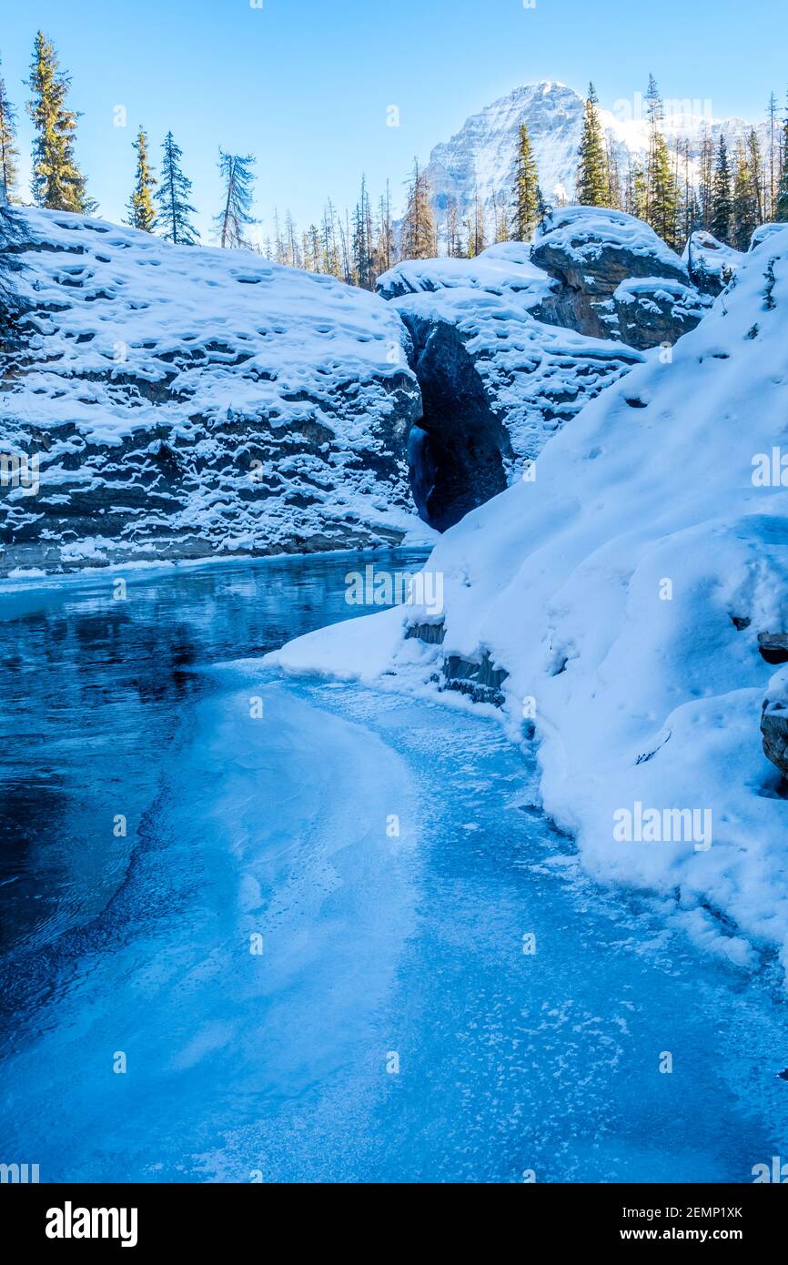 Río caballo de patada en el Puente Natural en el Parque Nacional de Yoho, Canadá Foto de stock