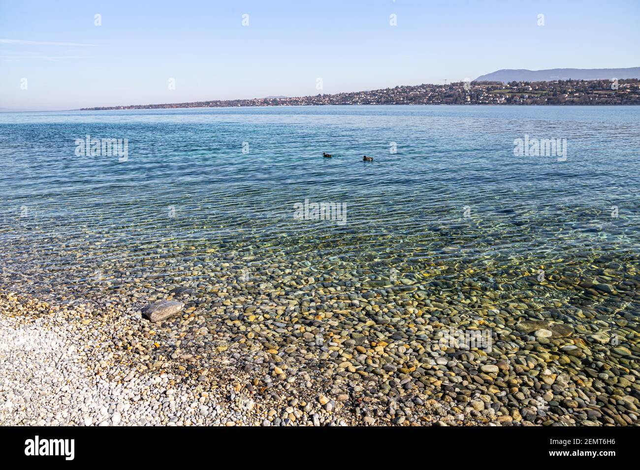 Playa de piedra en el lago de Ginebra, agua transparente, Suiza Fotografía  de stock - Alamy