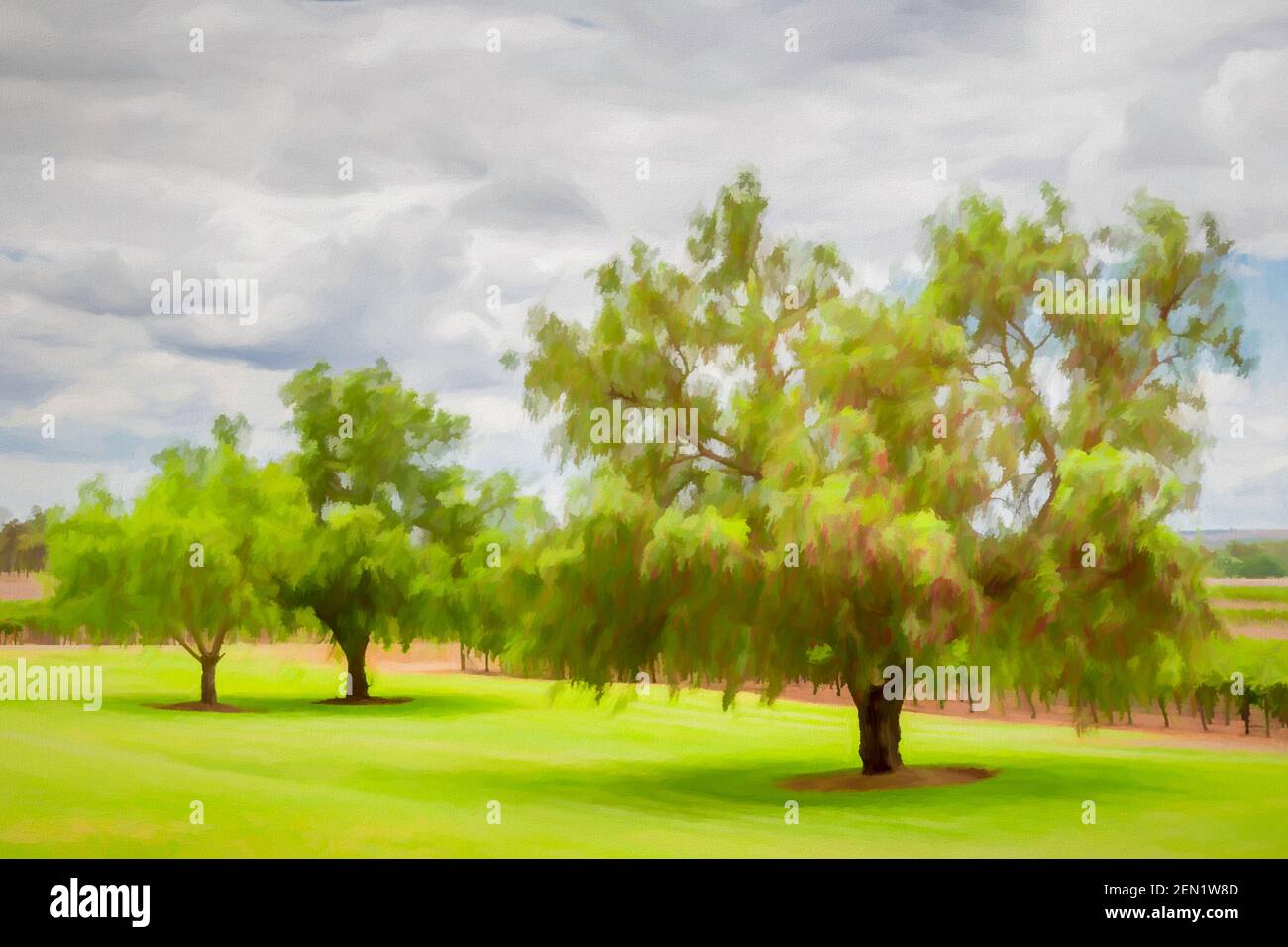 Pintura digital de árboles en un viñedo bajo un cielo nublado. Foto de stock
