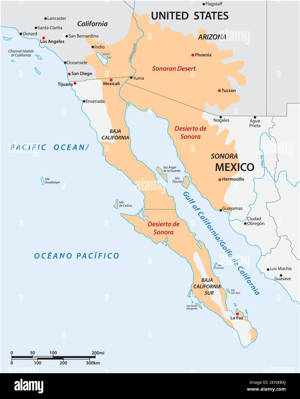 Mapa De Sonora Y Arizona Mapa Vectorial Del Desierto De Sonora, México, Estados Unidos Imagen Vector  De Stock - Alamy
