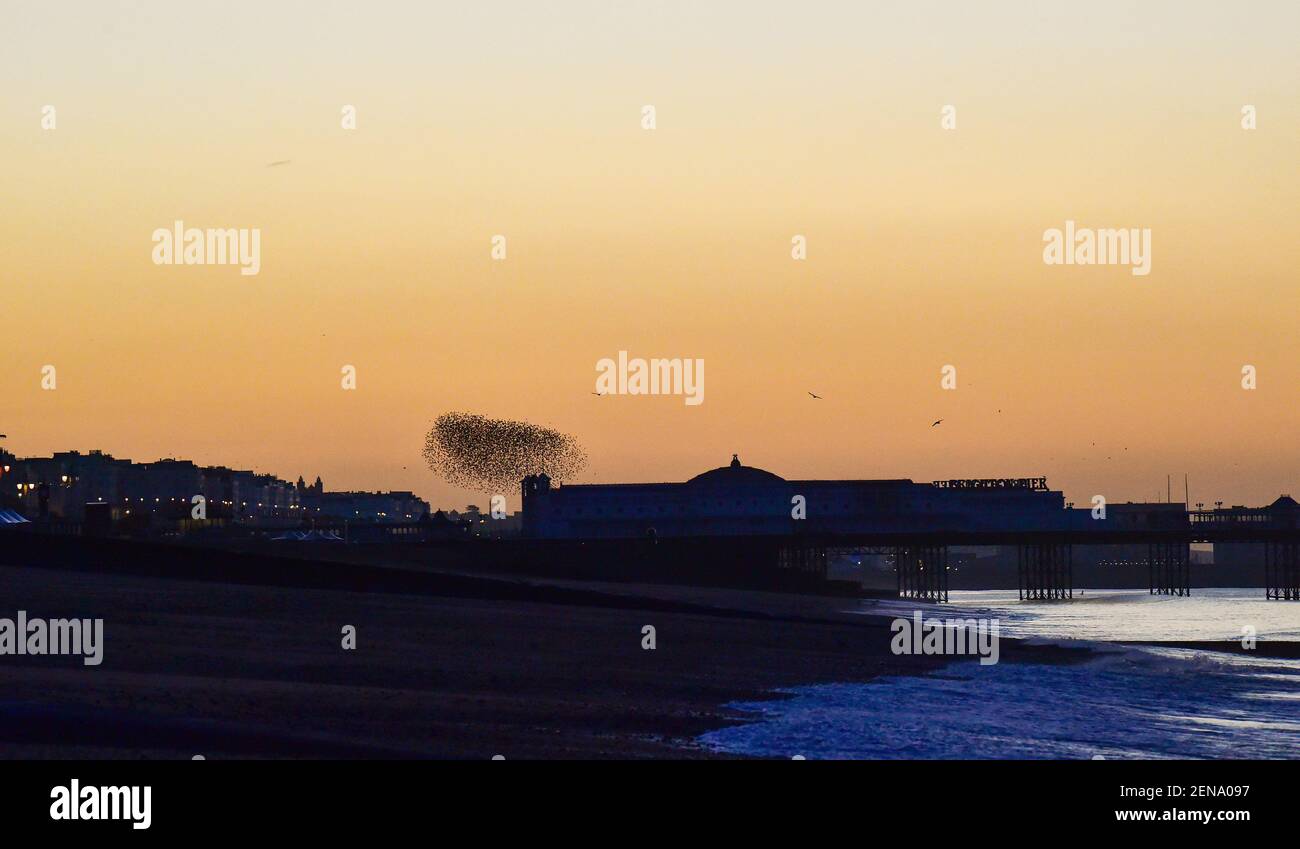 Brighton Reino Unido 26 de febrero de 2021 - los Starlings dejan su estancia nocturna en Brighton Palace Pier al amanecer ya que el tiempo soleado se pronostica para los próximos días: Crédito Simon Dack / Alamy Live News Foto de stock