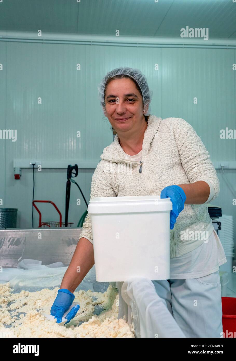 Mujer trabajadora de la planta lechera en guantes azules Embalaje de queso en cajas de plástico. Foto de stock