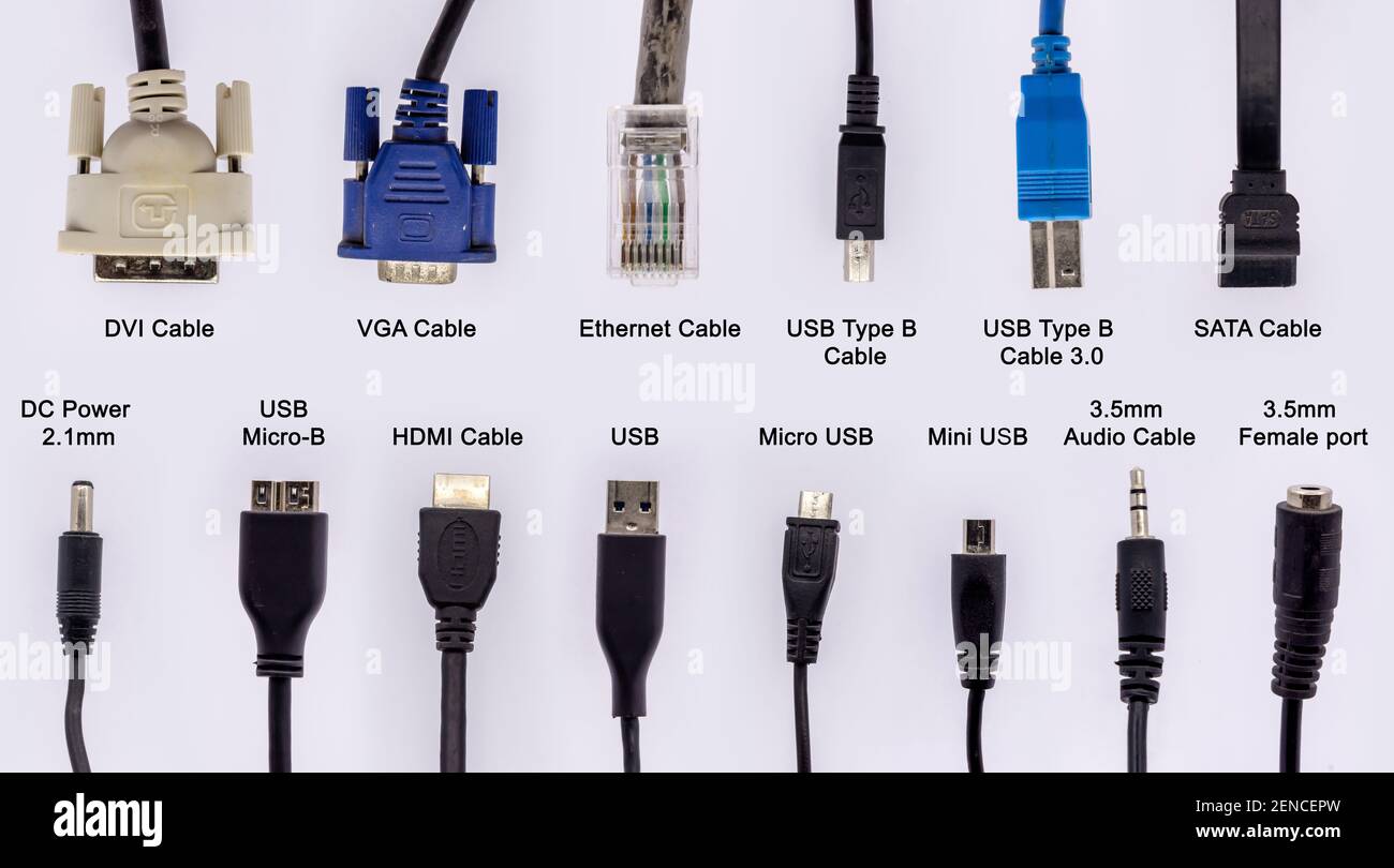 Perceptible Cerdo roto cables de ordenador con diferentes conectores para conexión de red y datos  aislados sobre fondo blanco Fotografía de stock - Alamy
