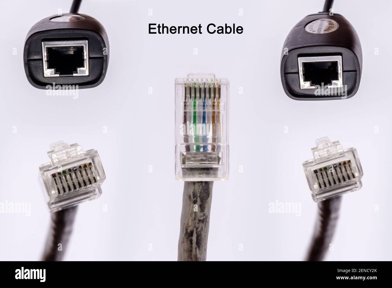 Conector macho y hembra de cable Ethernet. Conector Ethernet para Internet,  aislado sobre fondo blanco Fotografía de stock - Alamy