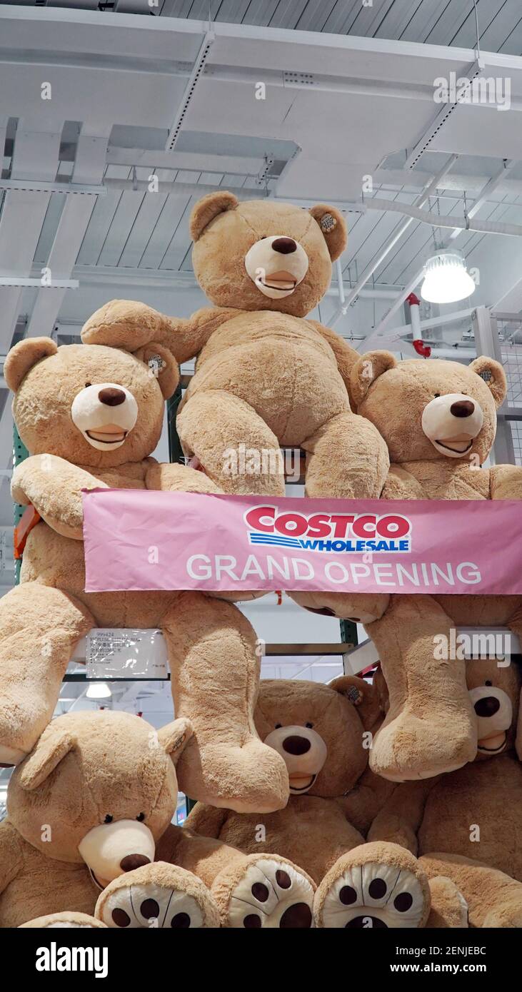 Los osos de juguete son amontonados para celebrar la apertura de la tienda  al por mayor Costco en Shanghai, China el 20 de agosto de 2019. El primer  outlet de Costco en