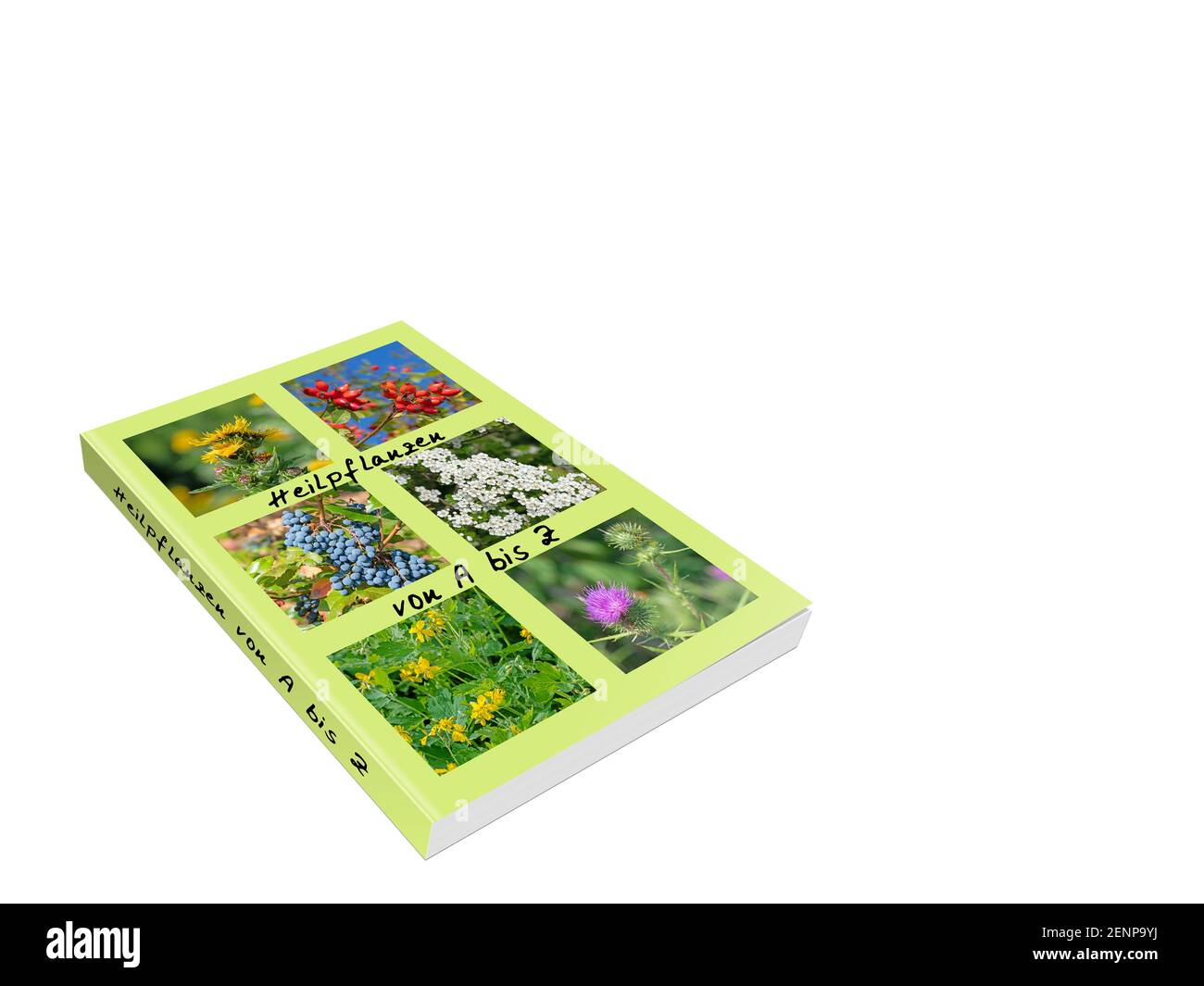 Libro con 'Heilpflanzen', traducción 'plantas edicinales' sobre fondo blanco, ilustración 3d Foto de stock