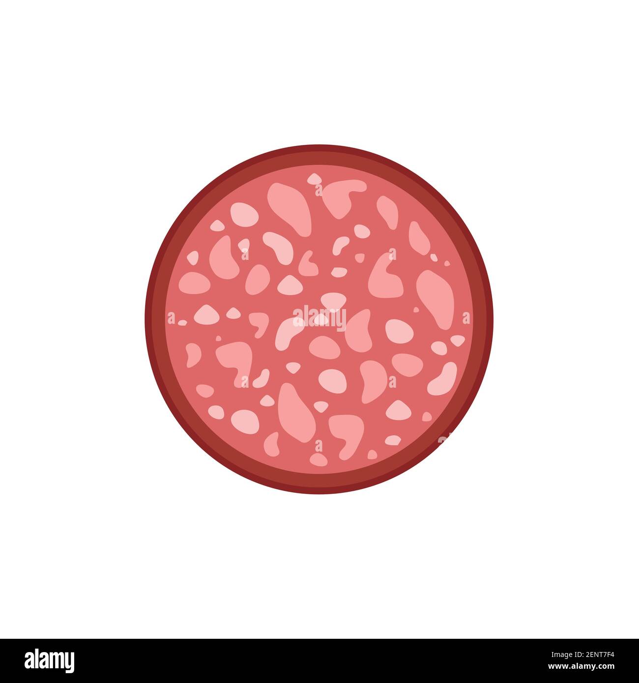 Salami salchicha rebanada. Ilustración vectorial aislada sobre fondo