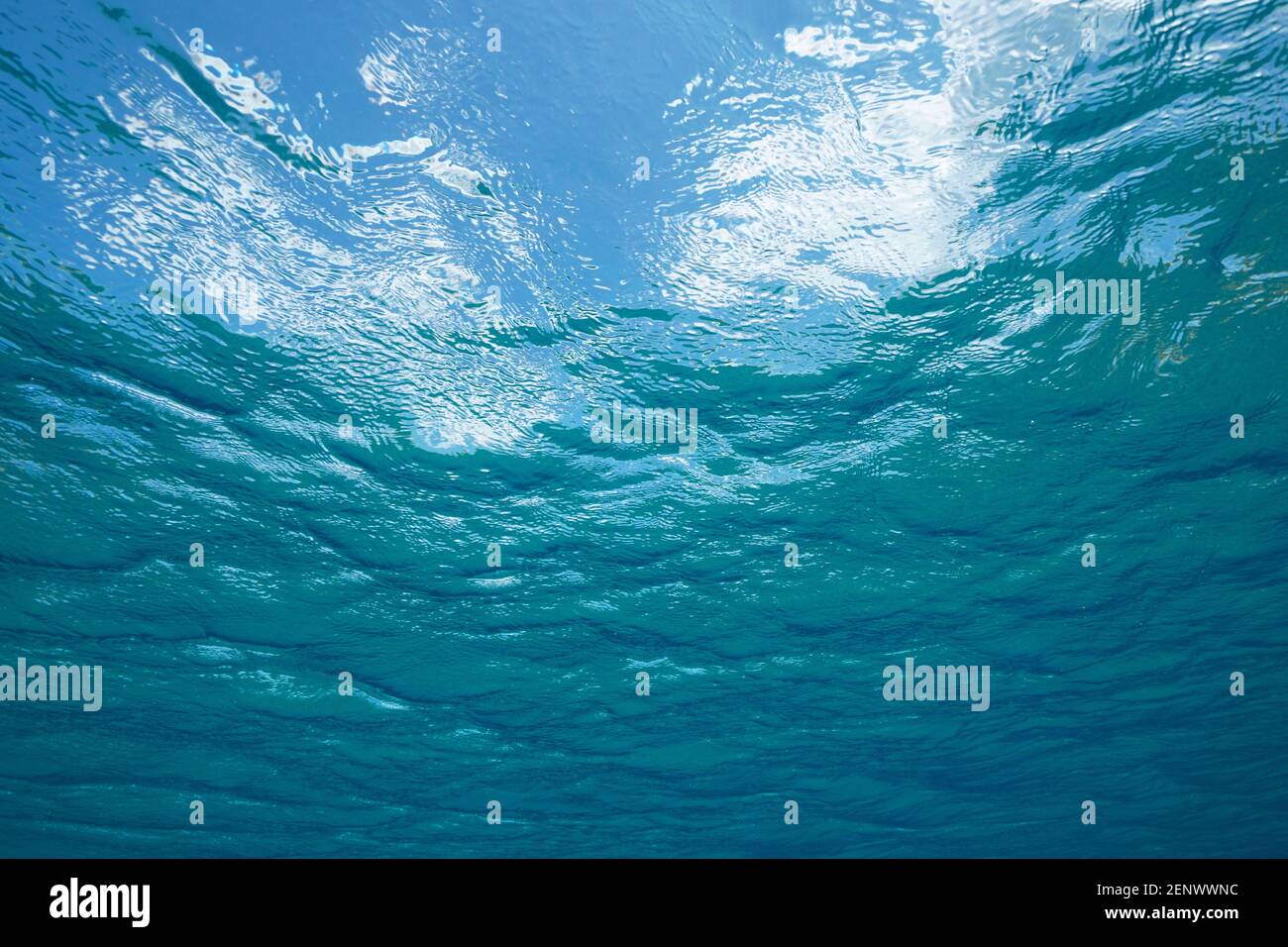 Superficie de agua del océano vista desde el agua subacuática, escena natural, Atlántico Foto de stock
