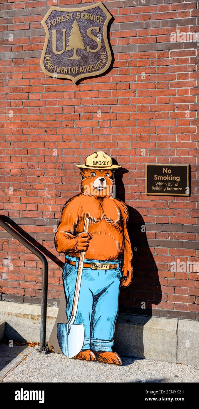 El Oso Smokey mascota ilustración en la parte frontal del edificio del Servicio Forestal de los Estados Unidos en Washington, DC, Estados Unidos de América, EE.UU.. Foto de stock