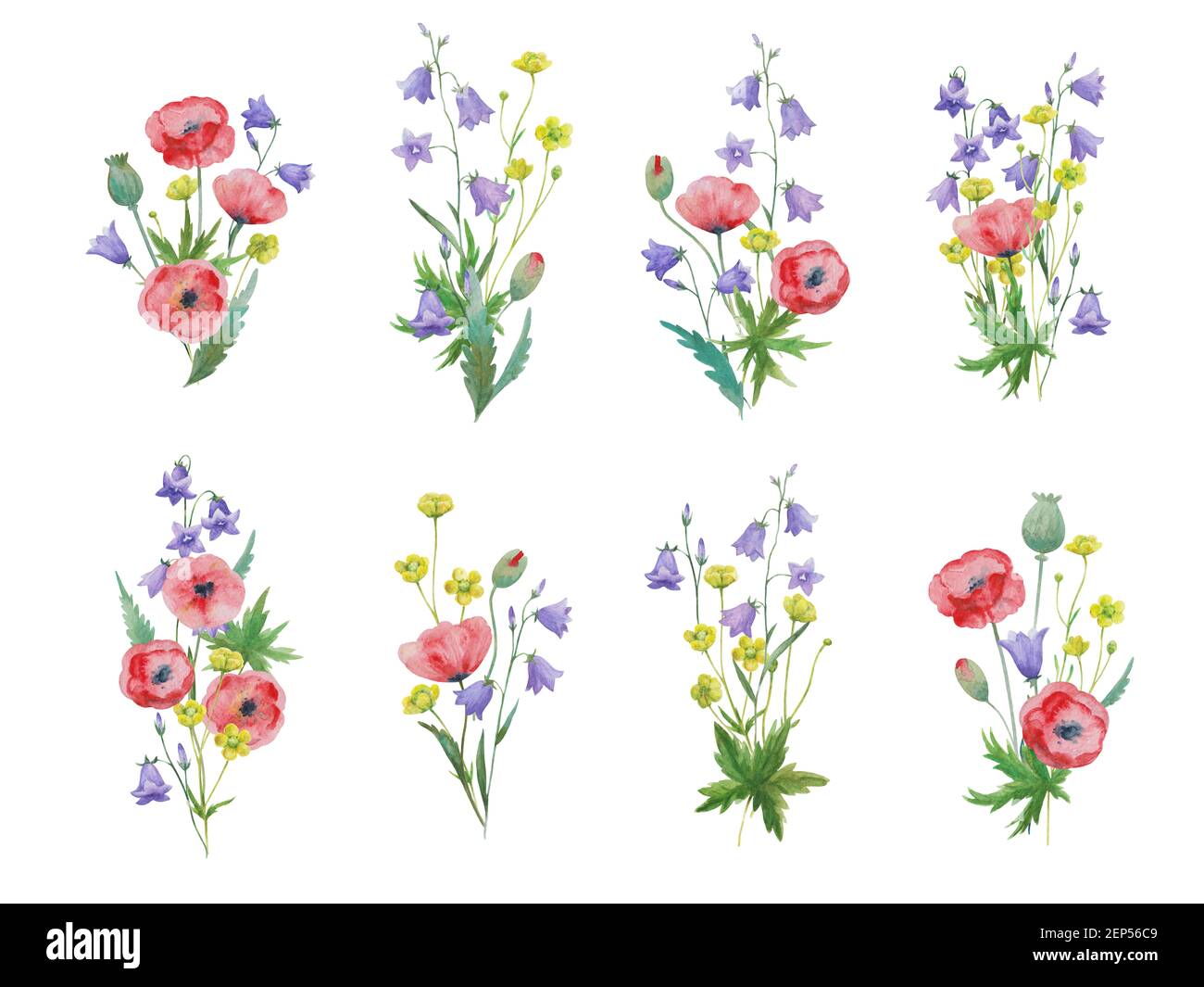 Pintura de flores silvestres Imágenes recortadas de stock - Alamy