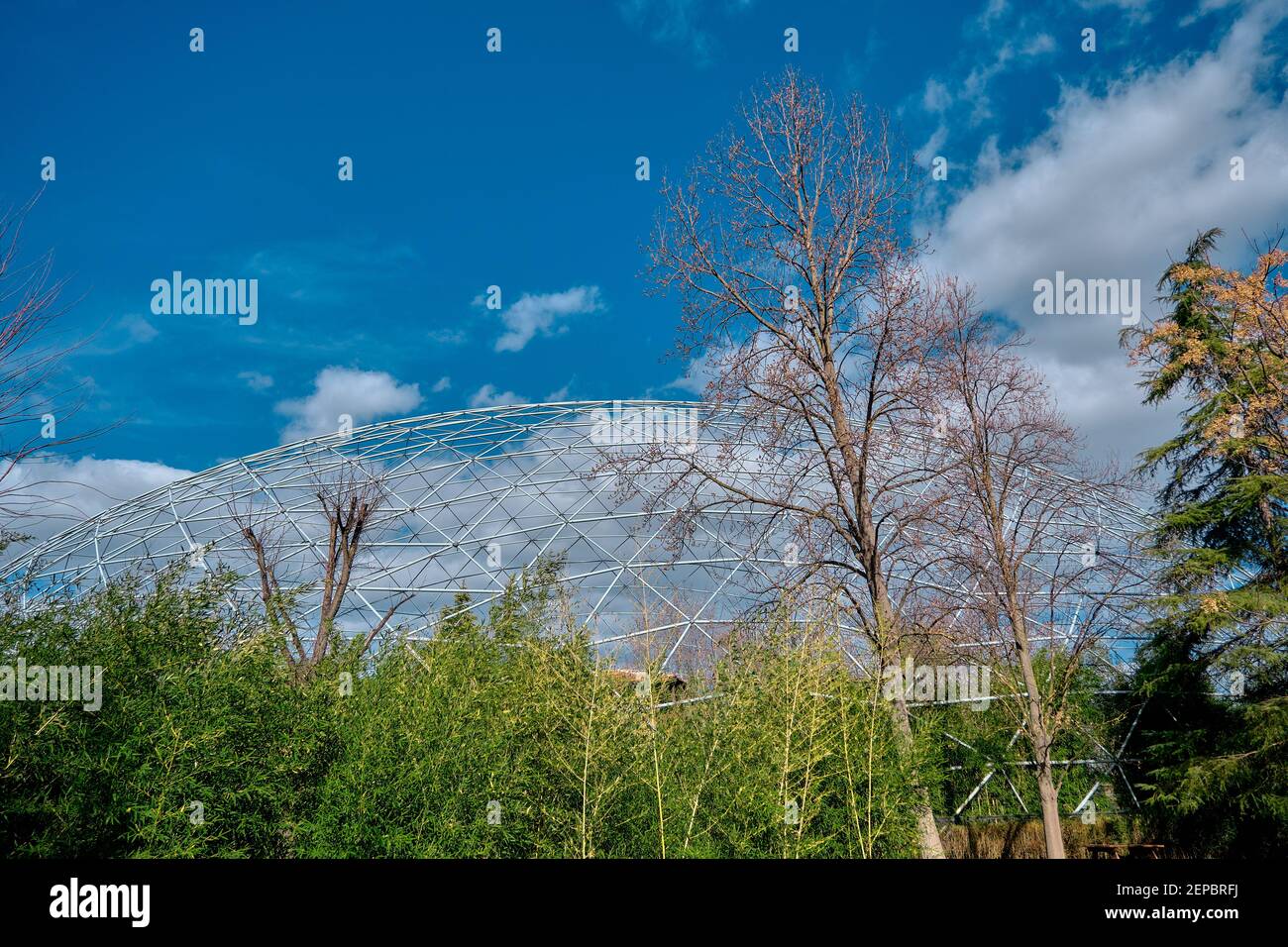 dentro de una gran jaula en el zoológico. árbol seco, planta con un  magnífico cielo azul y nubes blancas. junto con la construcción blanca de  palos blancos como cúpula Fotografía de stock -