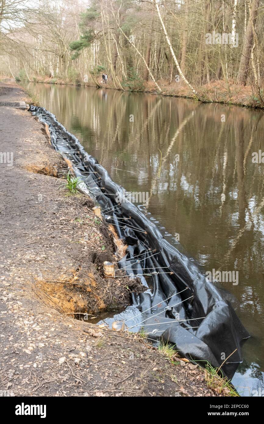 Reparaciones en curso en el banco del canal erosionado en el Canal de Basingstoke, Surrey, Reino Unido. Estos se llenarán con limo del fondo del canal para mejorar el banco. Foto de stock