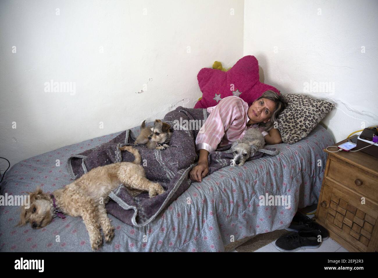 Palmira Se Encuentra En La Cama Con Sus Perros En Su Casa En La Ciudad De M Xico El De Marzo