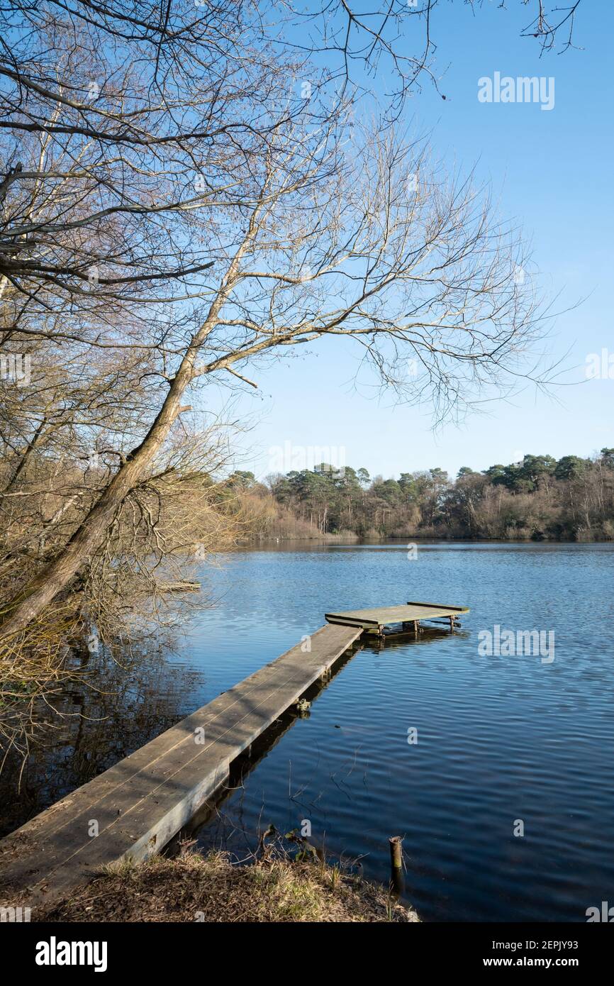 Mytchett Lake en Surrey, Inglaterra, Reino Unido, en un soleado día de invierno Foto de stock