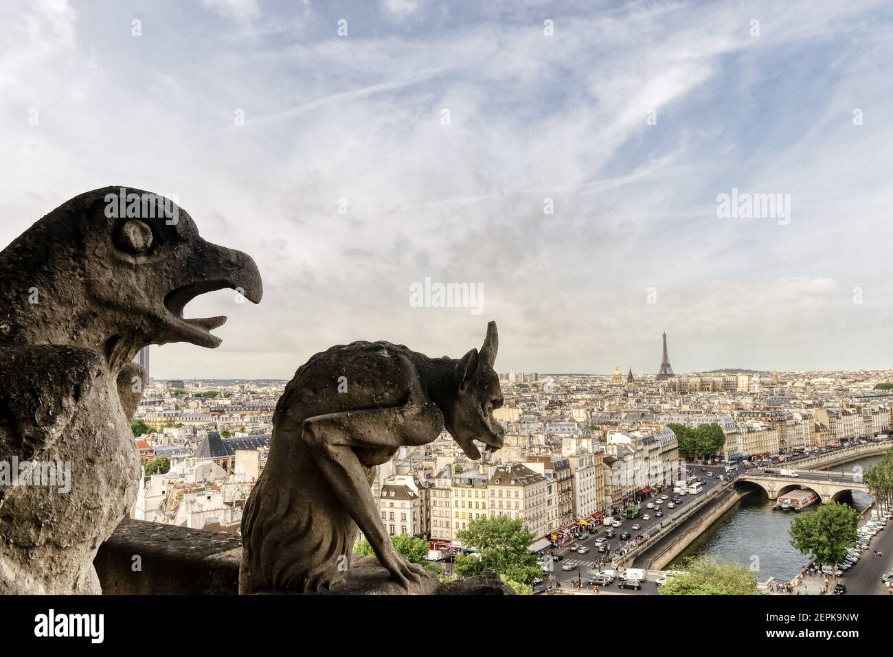 La vista de París desde la torre de Notre Dame De Paris con las gárgolas con la Torre Eiffel el horizonte Foto de stock