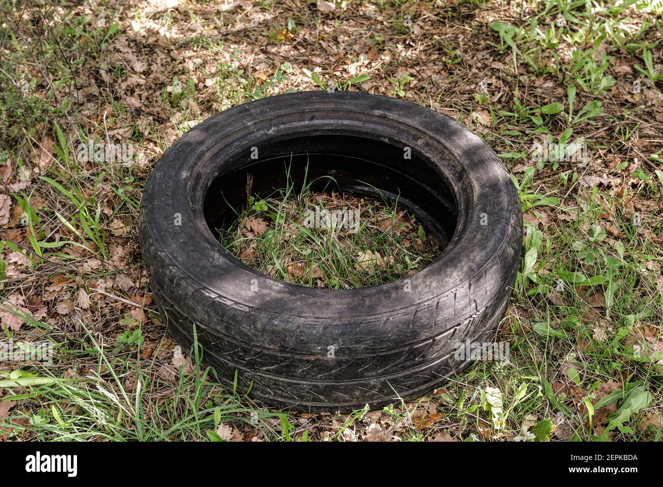 Viejo neumático de coche de caucho usado descartado en el ecosistema de bosque crudo, ambiental contaminación Foto de stock