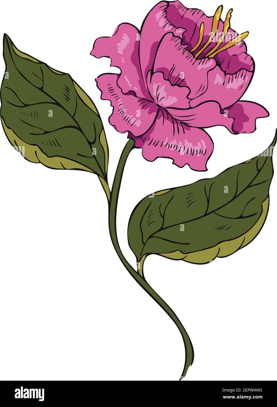 Ilustración vectorial de una flor abstracta en flor. Diseño de flores rosas. Ilustración del Vector