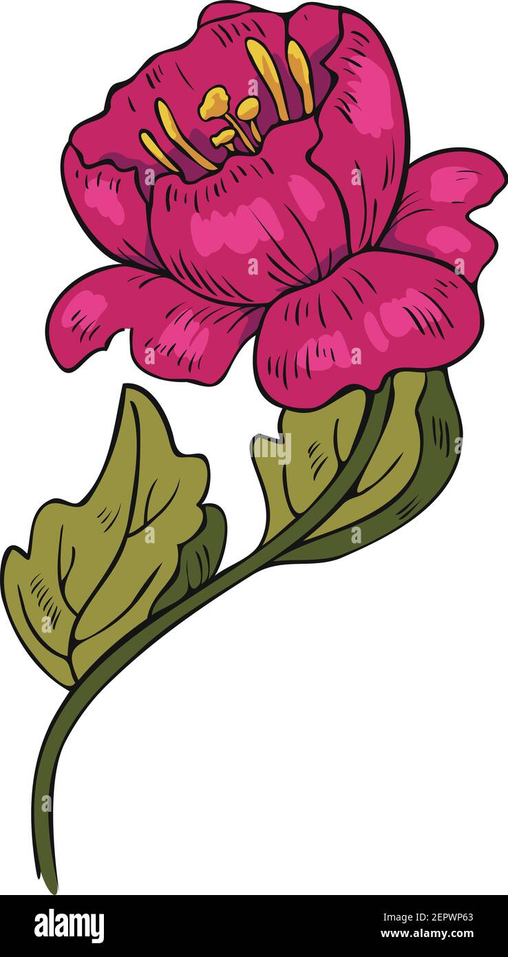 Ilustración vectorial de una flor abstracta en flor. Diseño de flores rosas. Ilustración del Vector