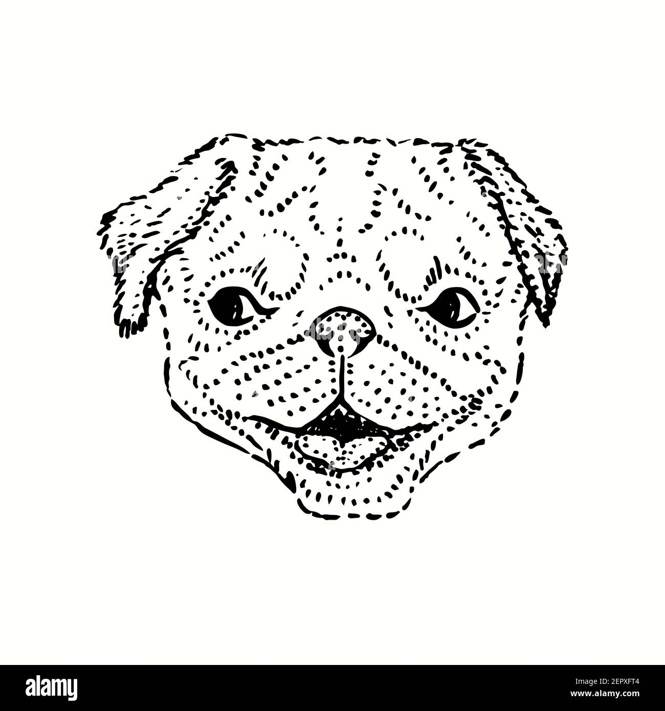 Lindo perro, cara de pug. Dibujo en blanco y negro Fotografía de stock -  Alamy