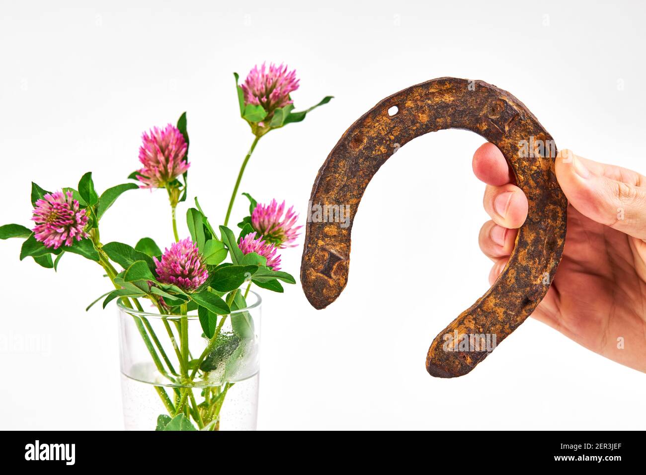 flores de trébol en flor y herradura oxidada sobre fondo blanco. concepto de suerte simple Fotografía de stock - Alamy flores de trébol en flor y herradura oxidada sobre fondo blanco. concepto de suerte simple Fotografía de stock - Alamy