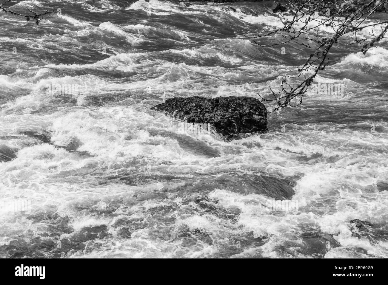 En medio de los rápidos del río Snoqualmie se alza una roca. Foto de stock