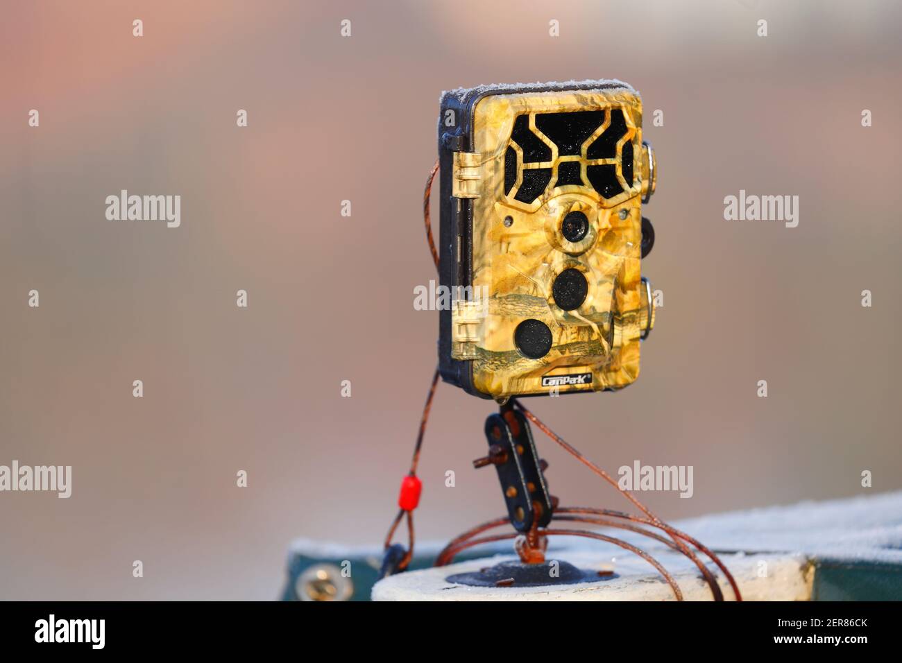Sensor de movimiento y cámara fotografías e imágenes de alta resolución -  Alamy