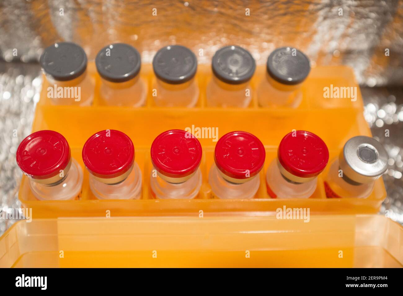 Ampollas de vacuna o viales de vidrio conservados en caja fría. Enfoque selectivo Foto de stock