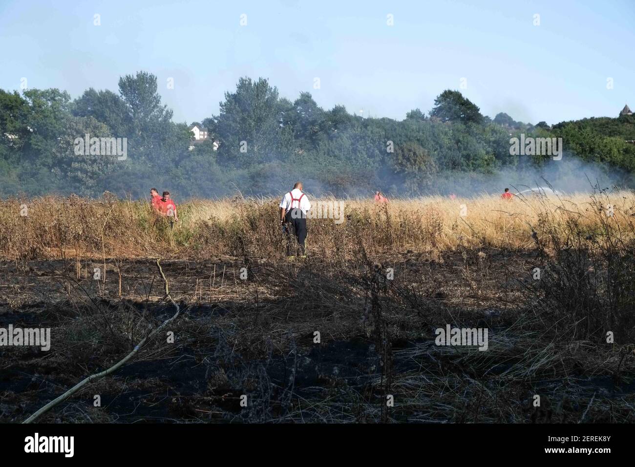 Veinte motores de bomberos y unos 125 bomberos se enfrentan a un incendio de césped del tamaño de cuatro campos de fútbol en Woolwich Common, sureste de Londres, Reino Unido el 23 de julio de 2018. (Foto de Claire Doherty/Sipa USA) Foto de stock