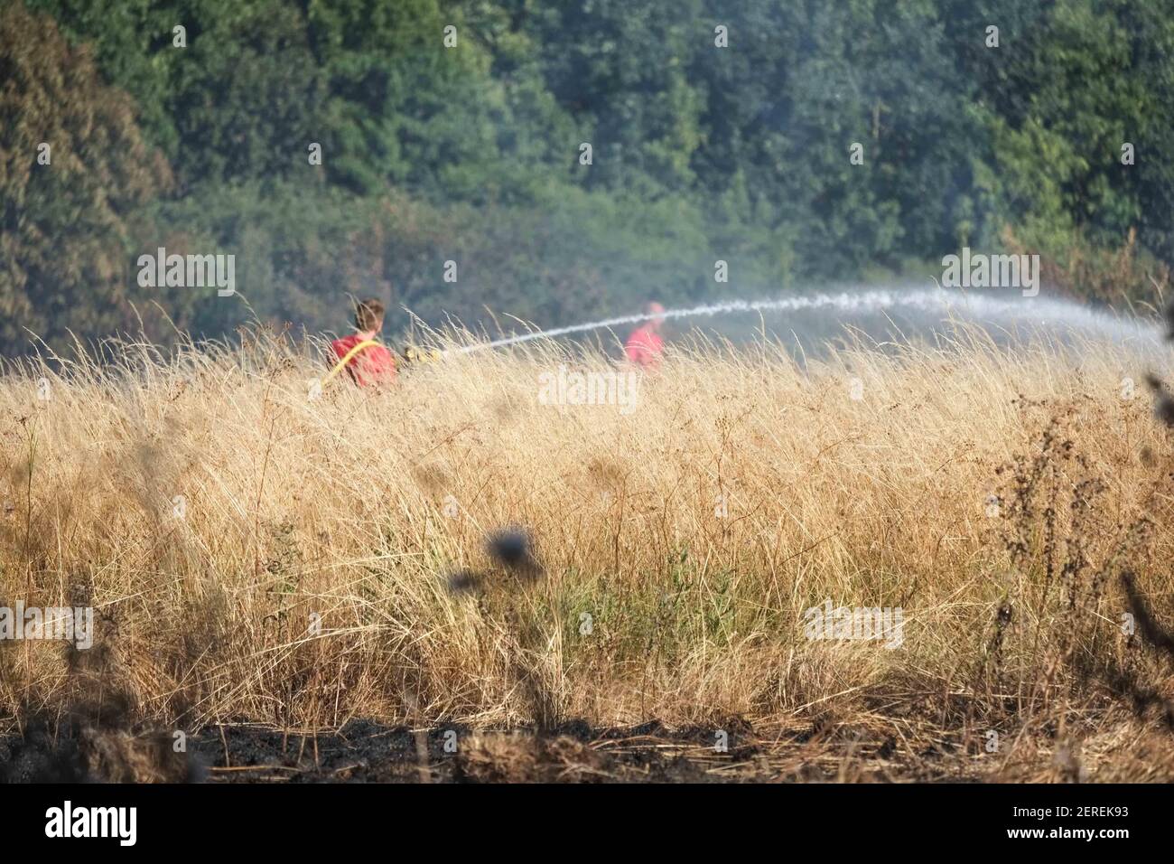 Veinte motores de bomberos y unos 125 bomberos se enfrentan a un incendio de césped del tamaño de cuatro campos de fútbol en Woolwich Common, sureste de Londres, Reino Unido el 23 de julio de 2018. (Foto de Claire Doherty/Sipa USA) Foto de stock