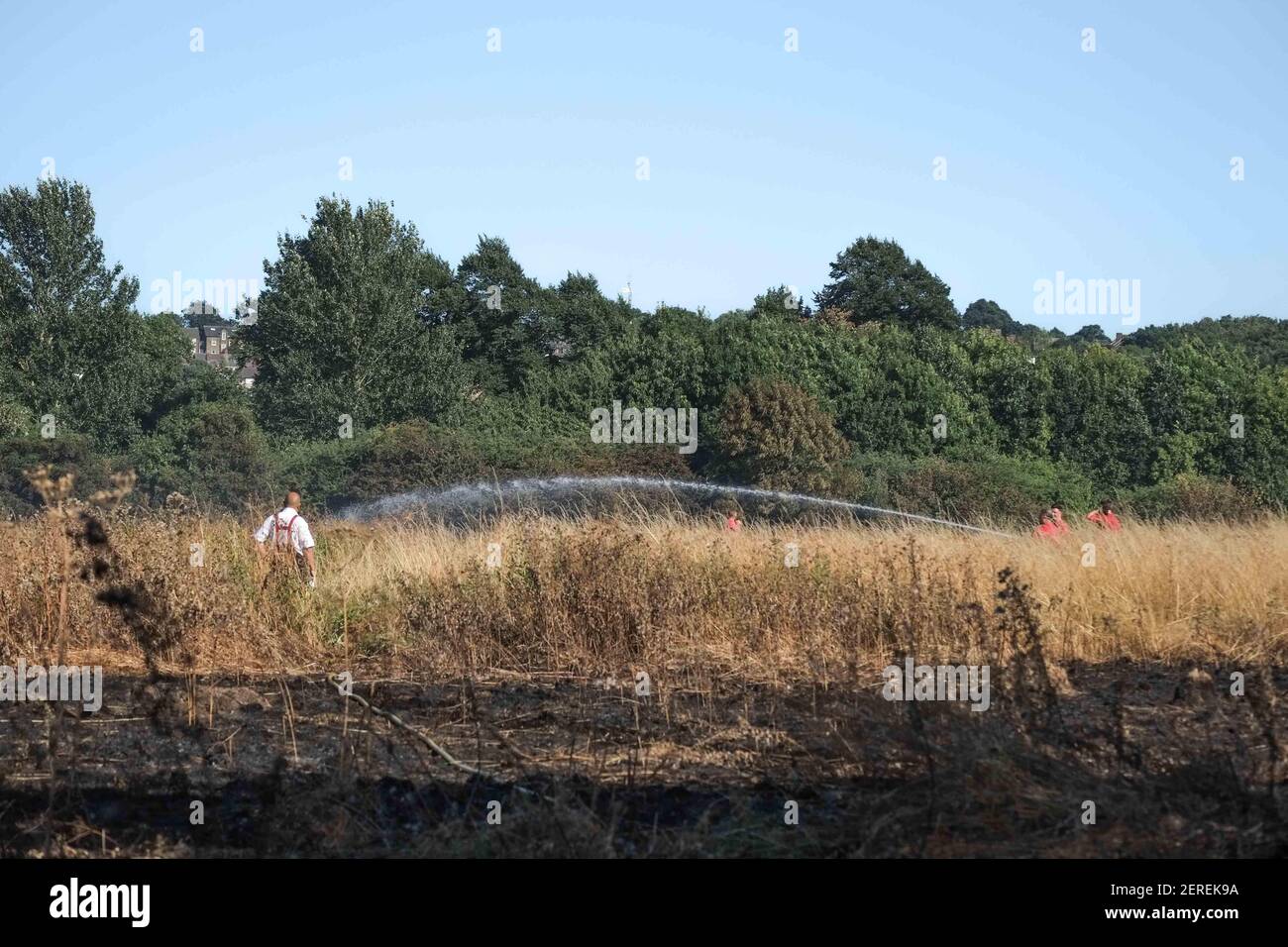 Veinte motores de bomberos y unos 125 bomberos se enfrentan a un incendio de césped del tamaño de cuatro campos de fútbol en Woolwich Common, sureste de Londres, Reino Unido el 23 de julio de 2018. (Foto de Claire Doherty/Sipa USA) Foto de stock