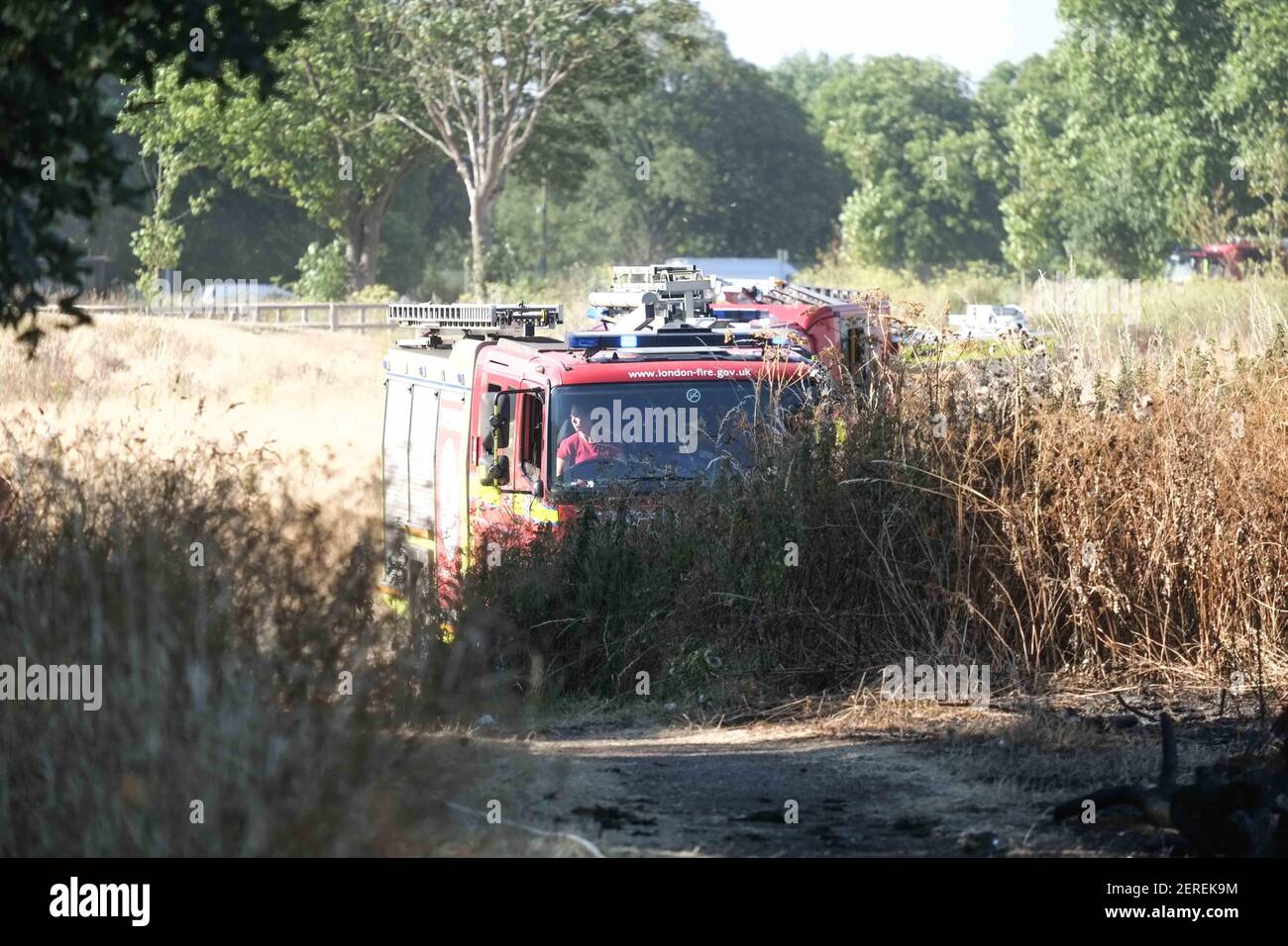 Veinte motores de bomberos y unos 125 bomberos se enfrentan a un incendio de césped del tamaño de cuatro campos de fútbol en Woolwich Common, sureste de Londres, Reino Unido el 23 de julio de 2018. (Foto de Claire Doherty/Sipa USA) Foto de stock