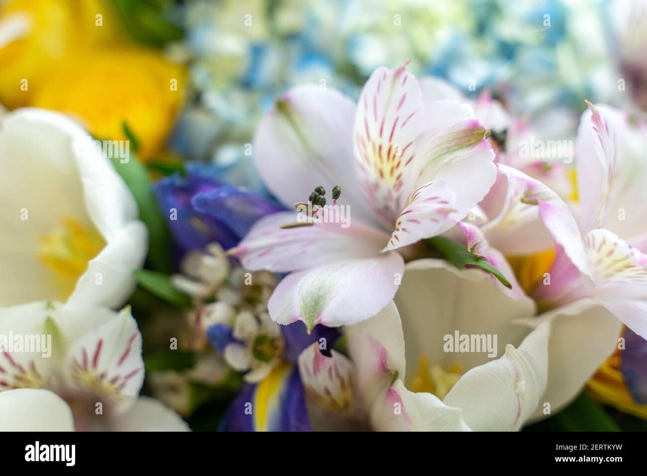 mezcla de ramo de lirios blancos delicados. Arreglo de flores mixtas:  Diferentes flores de diferentes colores, rosa amarilla en el centro  Fotografía de stock - Alamy