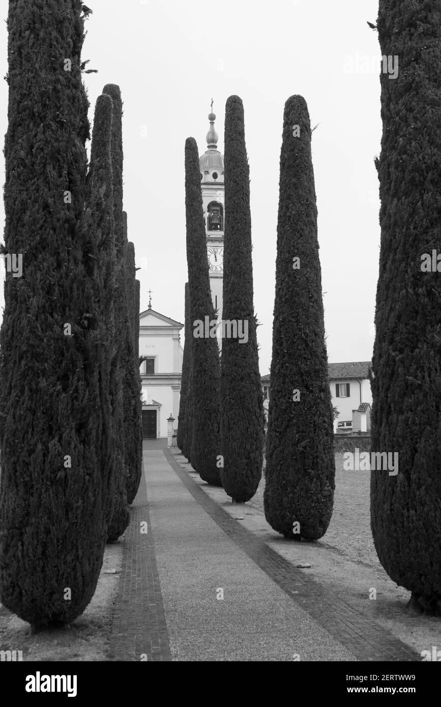 Pasarela con ciprés y Parroquia de Sant'Abbondio en Montagnola en Ticino, Suiza. Foto de stock