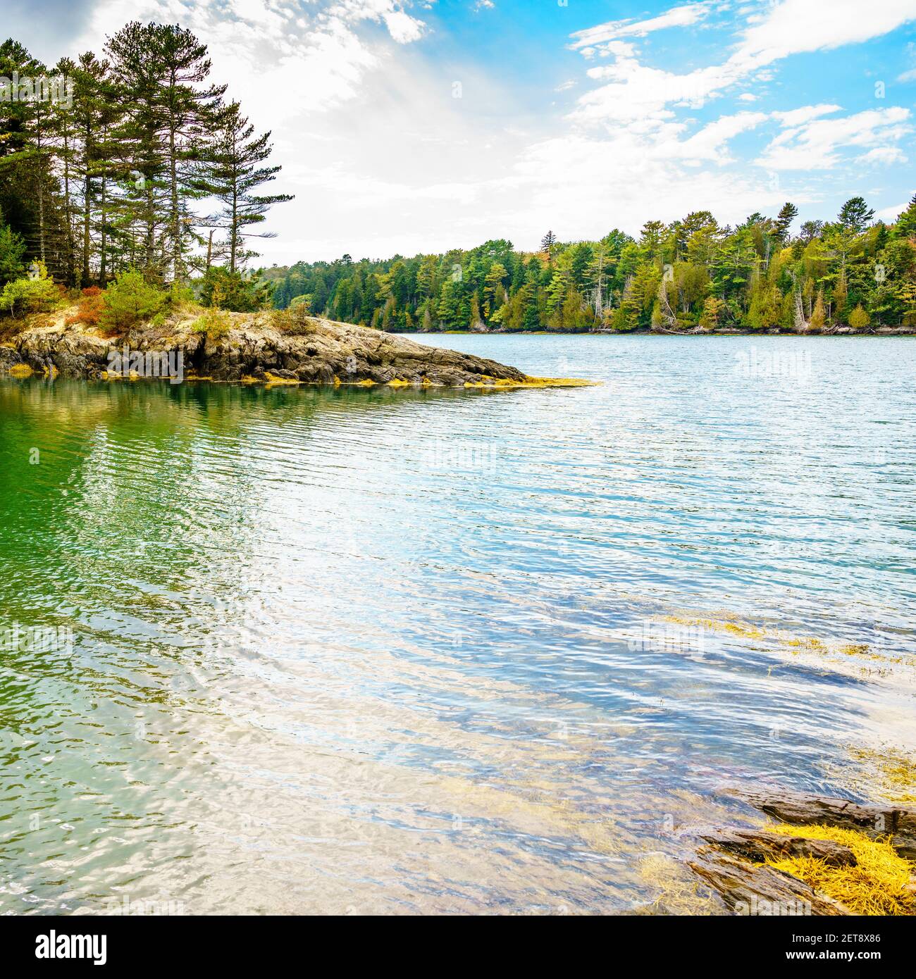 Vista escénica de la cala desde la isla de Orr, Maine en otoño Foto de stock