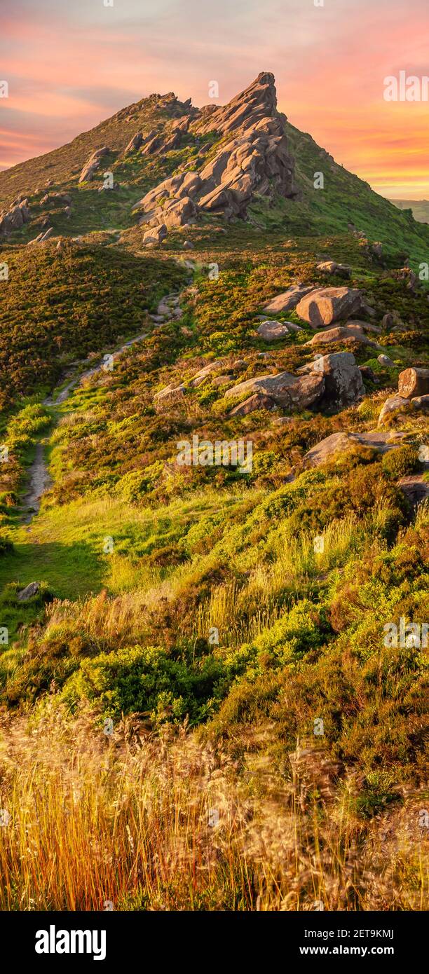 Panorama vertical de las rocas de Ramshaw cerca de la formación de rocas de cucarachas, Distrito de los Picos, Staffordshire, Inglaterra al atardecer. Foto de stock