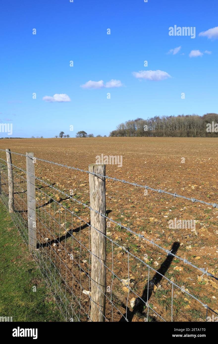 Tierras de cultivo alrededor de los Downs del Norte, en Kent, bajo el sol de invierno, en el Reino Unido Foto de stock