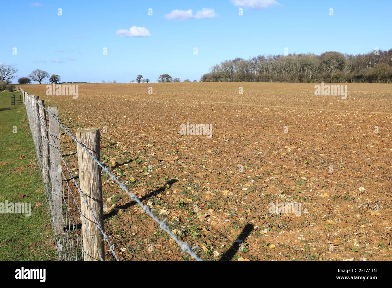 Tierras de cultivo alrededor de los Downs del Norte, en Kent, bajo el sol de invierno, en el Reino Unido Foto de stock