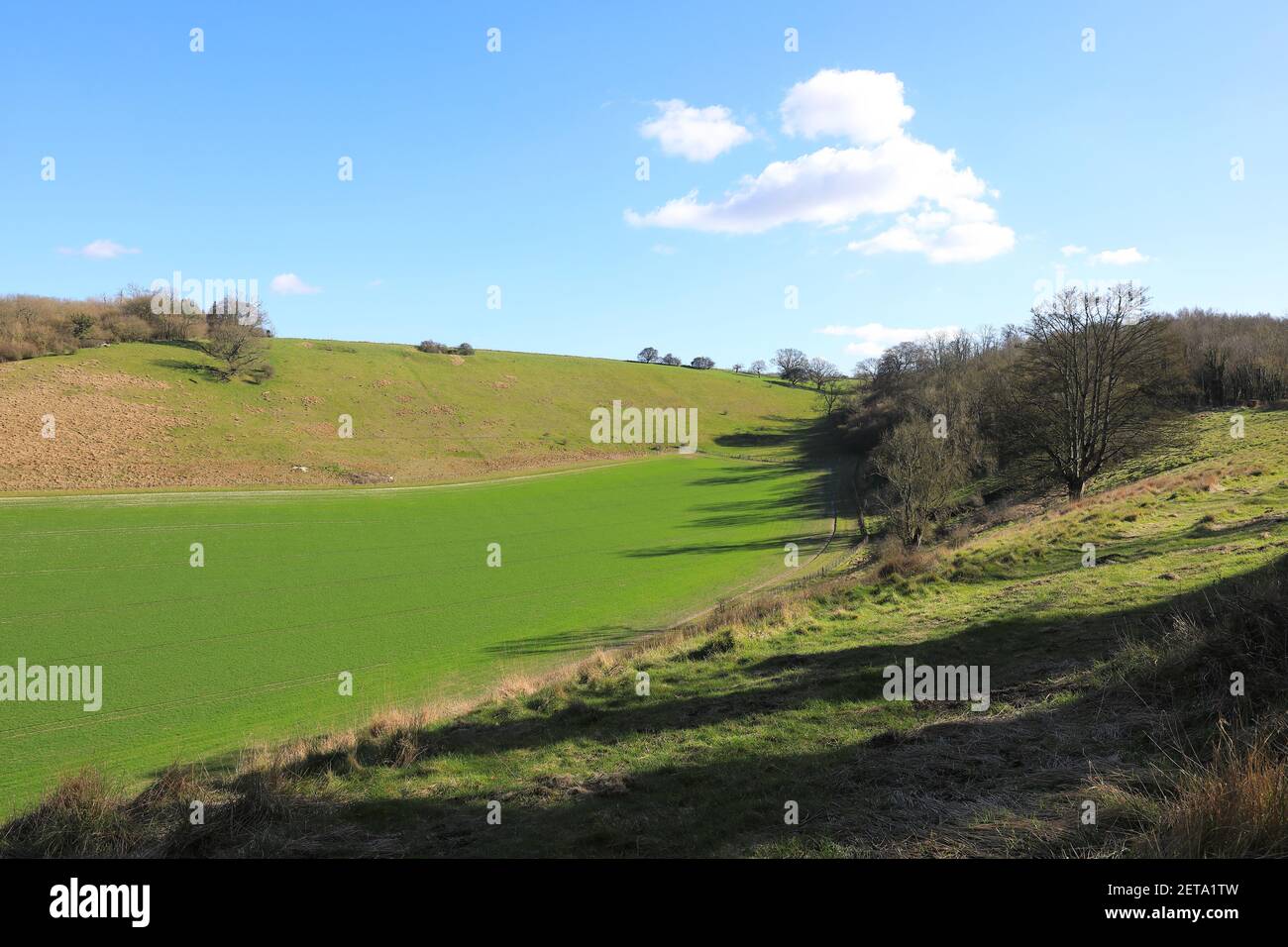 Tierras de cultivo alrededor de los Downs del Norte, en Kent, bajo el sol de invierno, en el Reino Unido Foto de stock