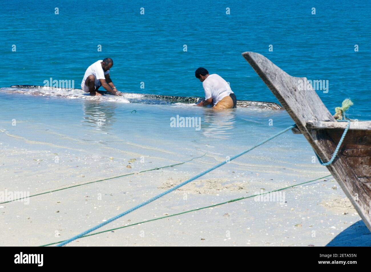 Pescadores raspando percebes Dubai UAE Foto de stock