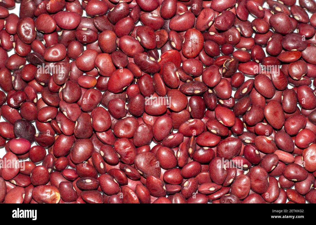 Fondo de granos secos rojos de cerca. La textura de los frijoles secos