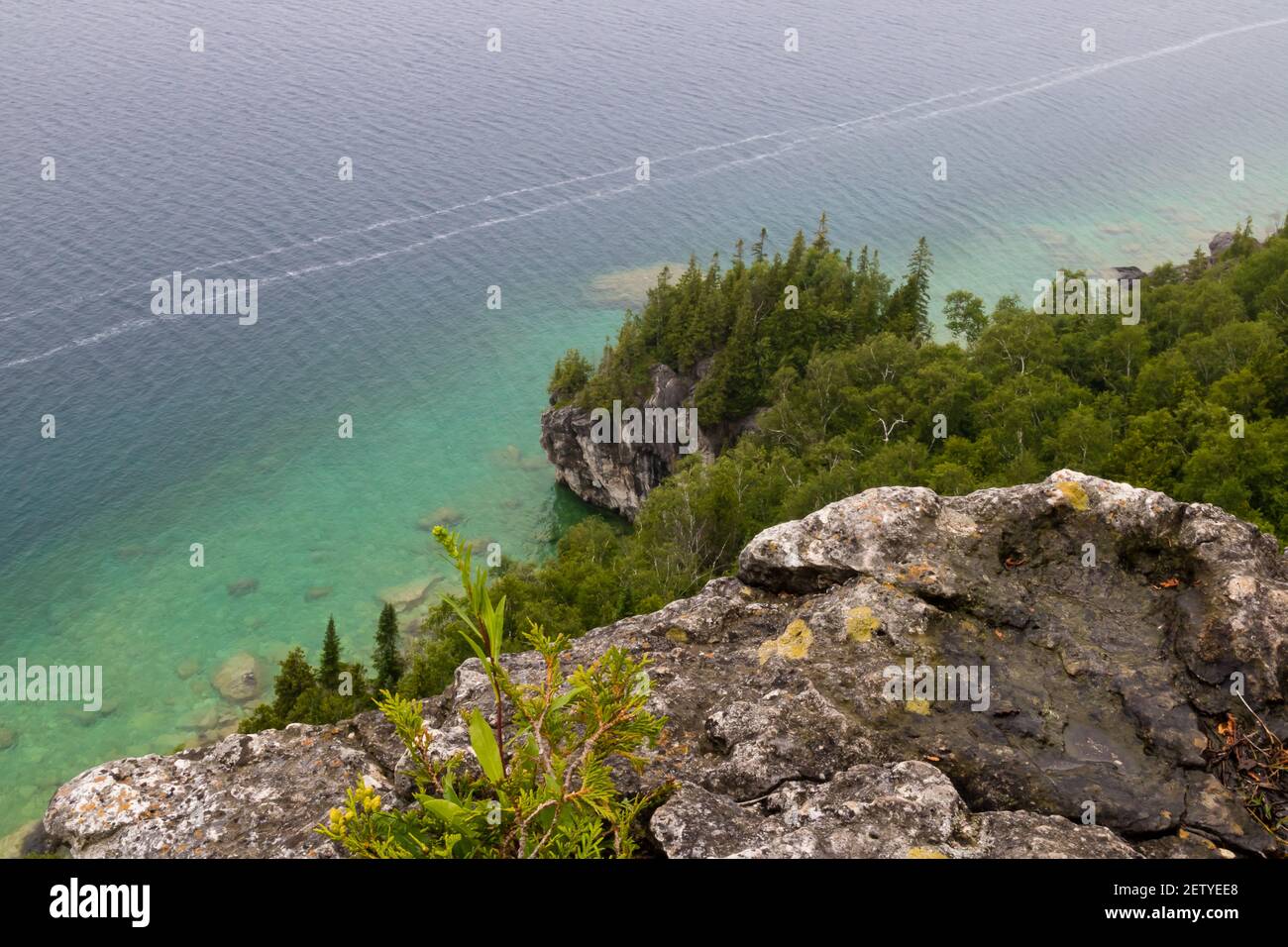 Península Bruce: Un acantilado y un lago con árboles en el fondo Foto de stock