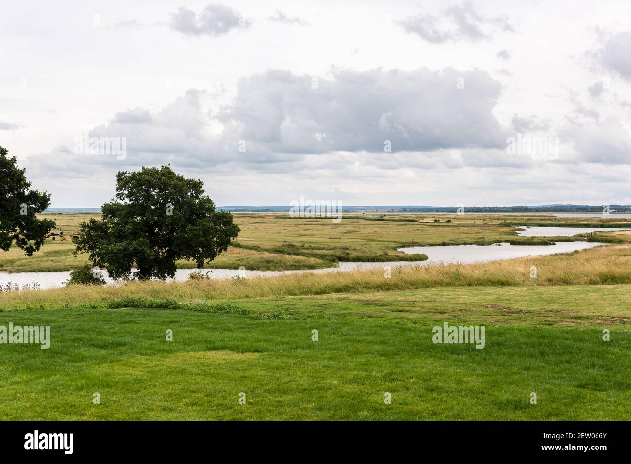 Vista de la reserva natural de Elmley en la Isla de Sheppey. Foto de stock