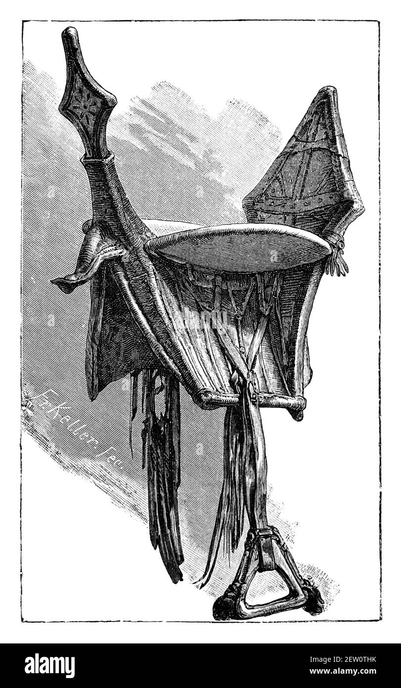Silla de camello. Cultura e historia del Norte de África. Ilustración antigua en blanco y negro. siglo 19th. Foto de stock