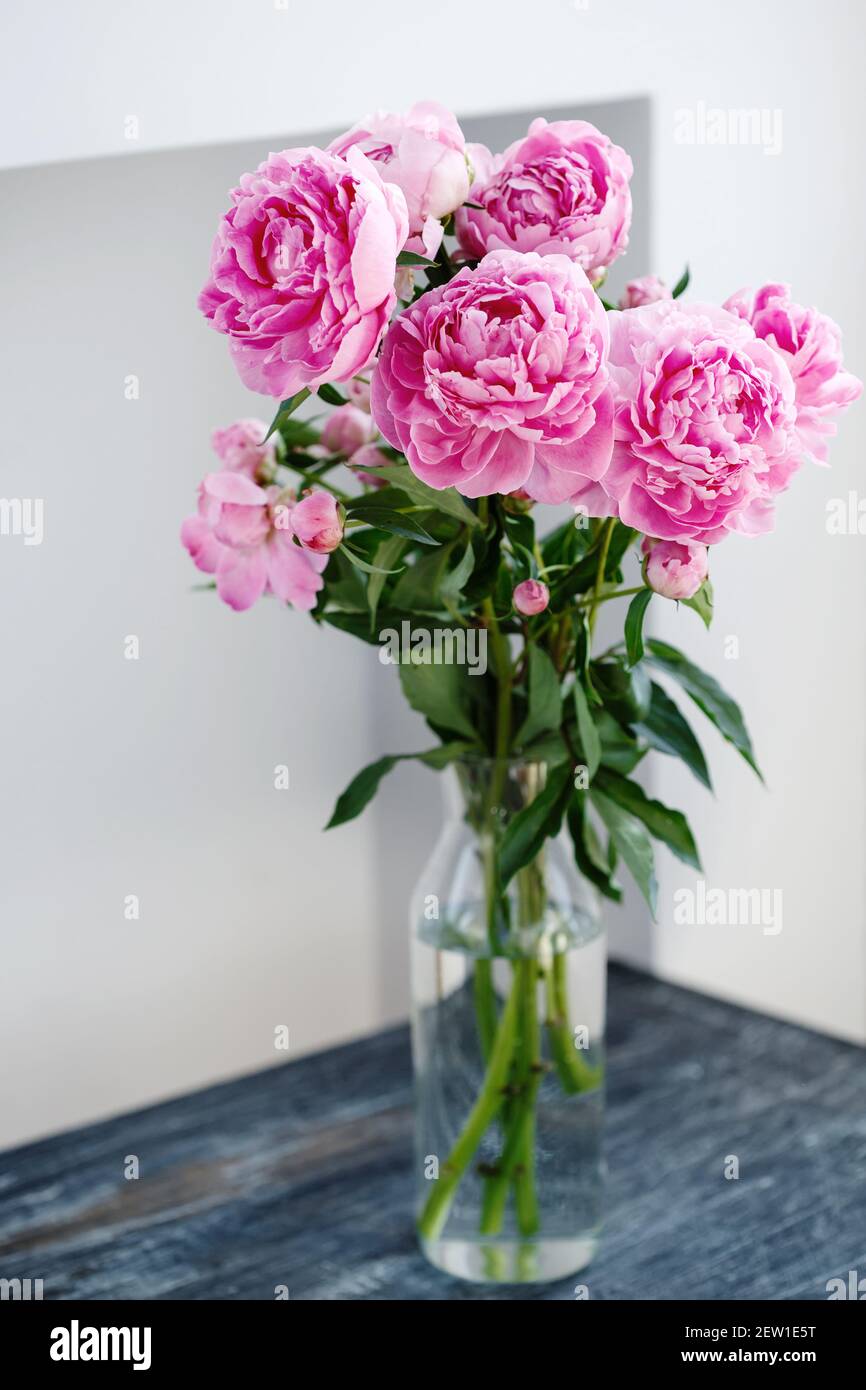Ramo de flores de peonías naturales rosas flores en jarrón, primavera y  verano flores de temporada Fotografía de stock - Alamy