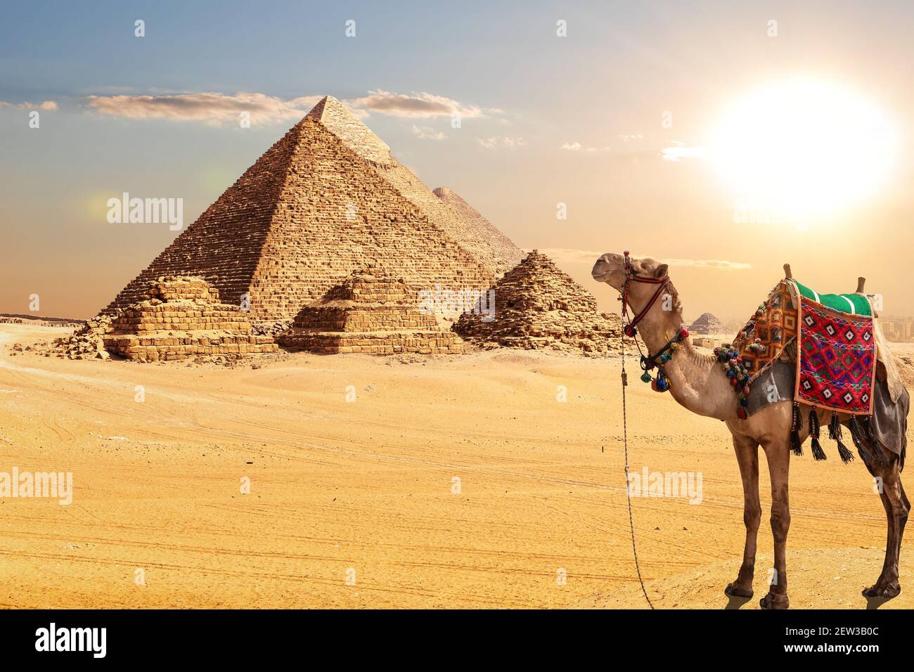 Un camello junto a las pirámides de Egipto en el desierto De Giza Foto de stock