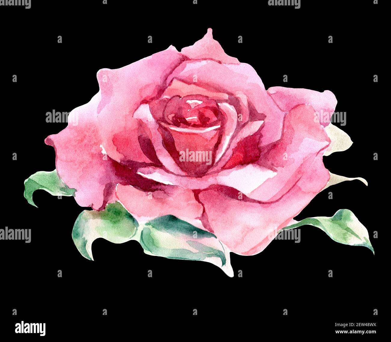 Tatuaje rosa fotografías e imágenes de alta resolución - Página 13 - Alamy Tatuaje rosa fotografías e imágenes de alta resolución - Página 13 - Alamy